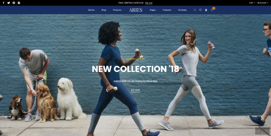 ARIES - Everything for a Shopify Fashion theme