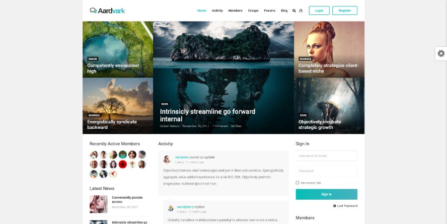 Aardvark - Community, Membership, BuddyPress Theme