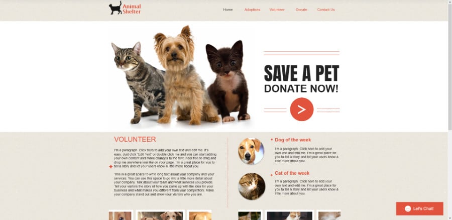 Animal Shelter Wix Template