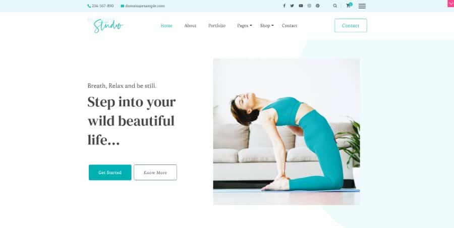 Blossom Studio WordPress Theme