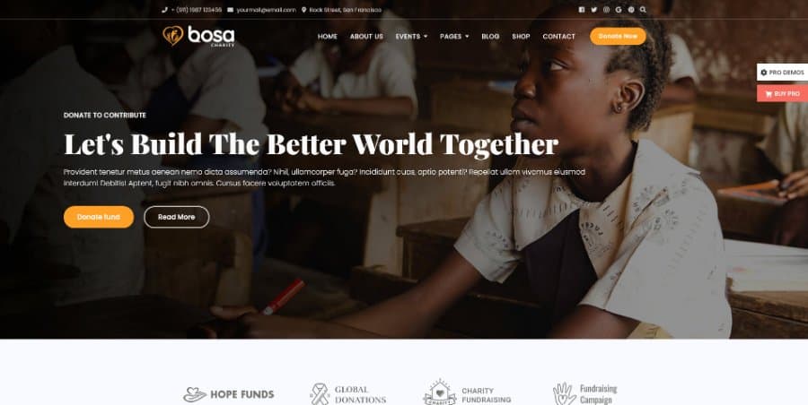 Bosa Charity – WordPress Theme