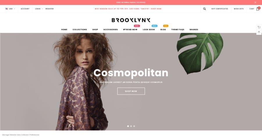 Brooklynk - Premium Responsive Fashion BigCcommerce Template