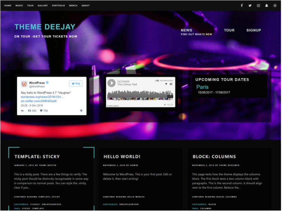 CN Deejay WordPress Theme