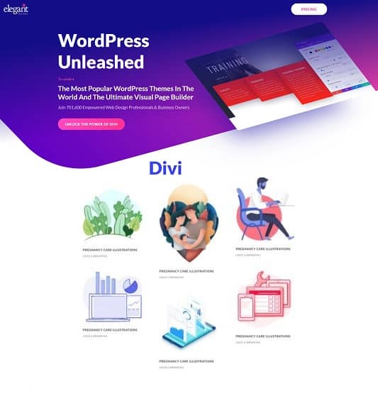 Divi - Graphic Illustrator Layout