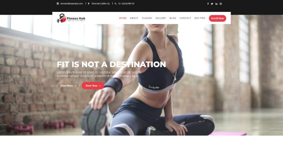 Fitness Hub WordPress Theme