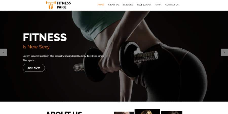 Fitness Park WordPress Theme
