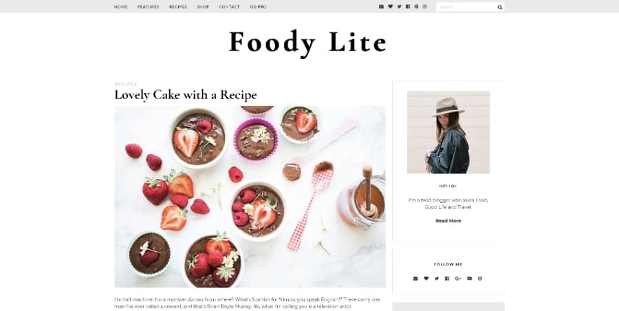 FoodyLite WordPress Theme