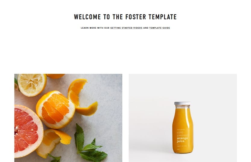 Foster Template Squarespace