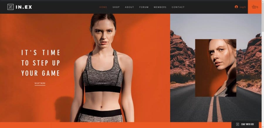 IN.EX Apparel eCommerce Wix Template