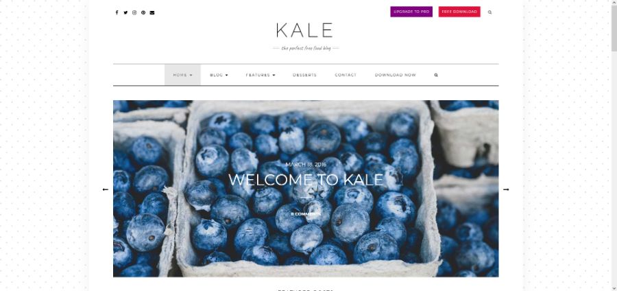 Kale WordPress Theme