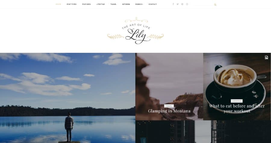 Lily - Blog for Bloggers, Reviewers WordPress Theme