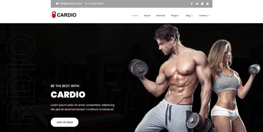 Netnus Cardio Lite WordPress Theme