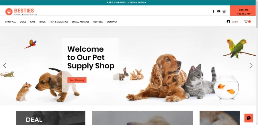 Pet Store eCommerce Wix Template