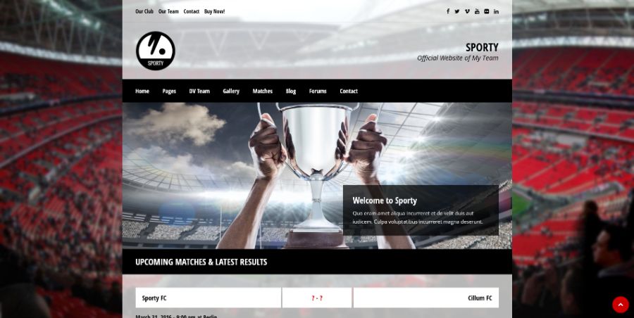 SPORTY-Responsive WordPress Theme for Sport Clubs