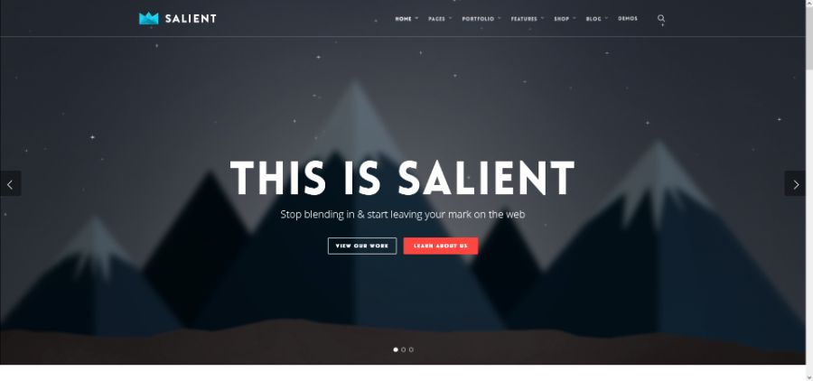 Salient | Creative Multipurpose & WooCommerce Theme