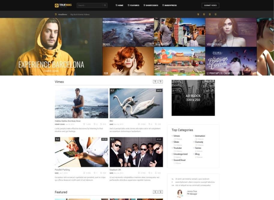 True Mag - WordPress Theme for Video and Magazine