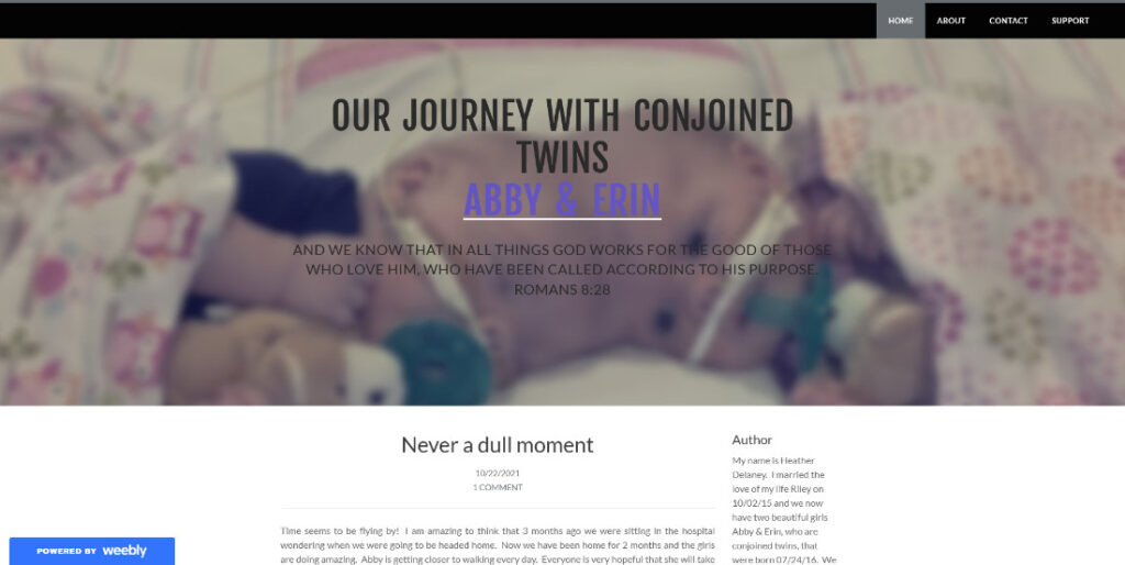 Weebly Blog - delaneytwins