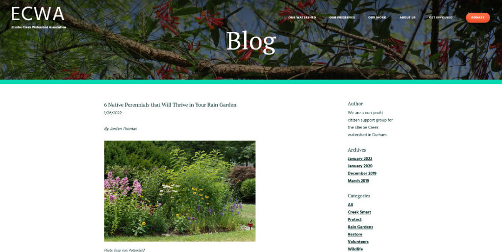 Ellerbe Creek - Weebly Blog -