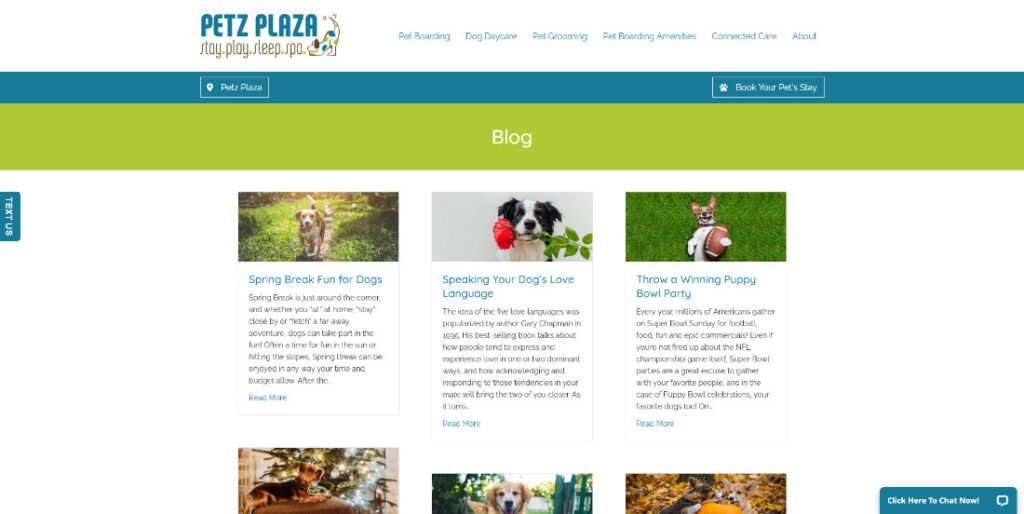Weebly Blog - petzplaza