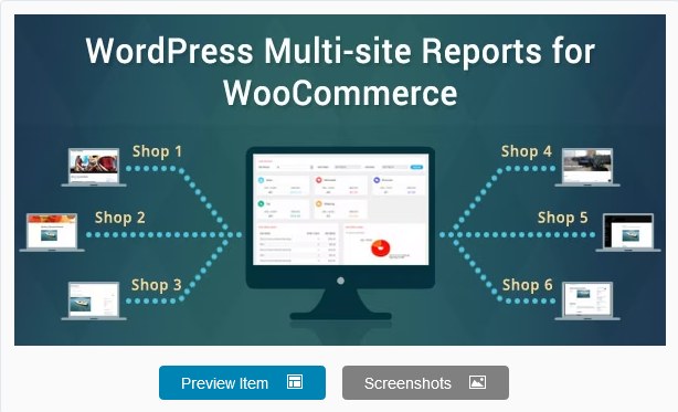 WooPro WordPress Multi-site Reports